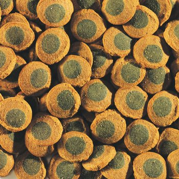 Krmivo Tetra Pleco Spirulina Wafers 3,6l