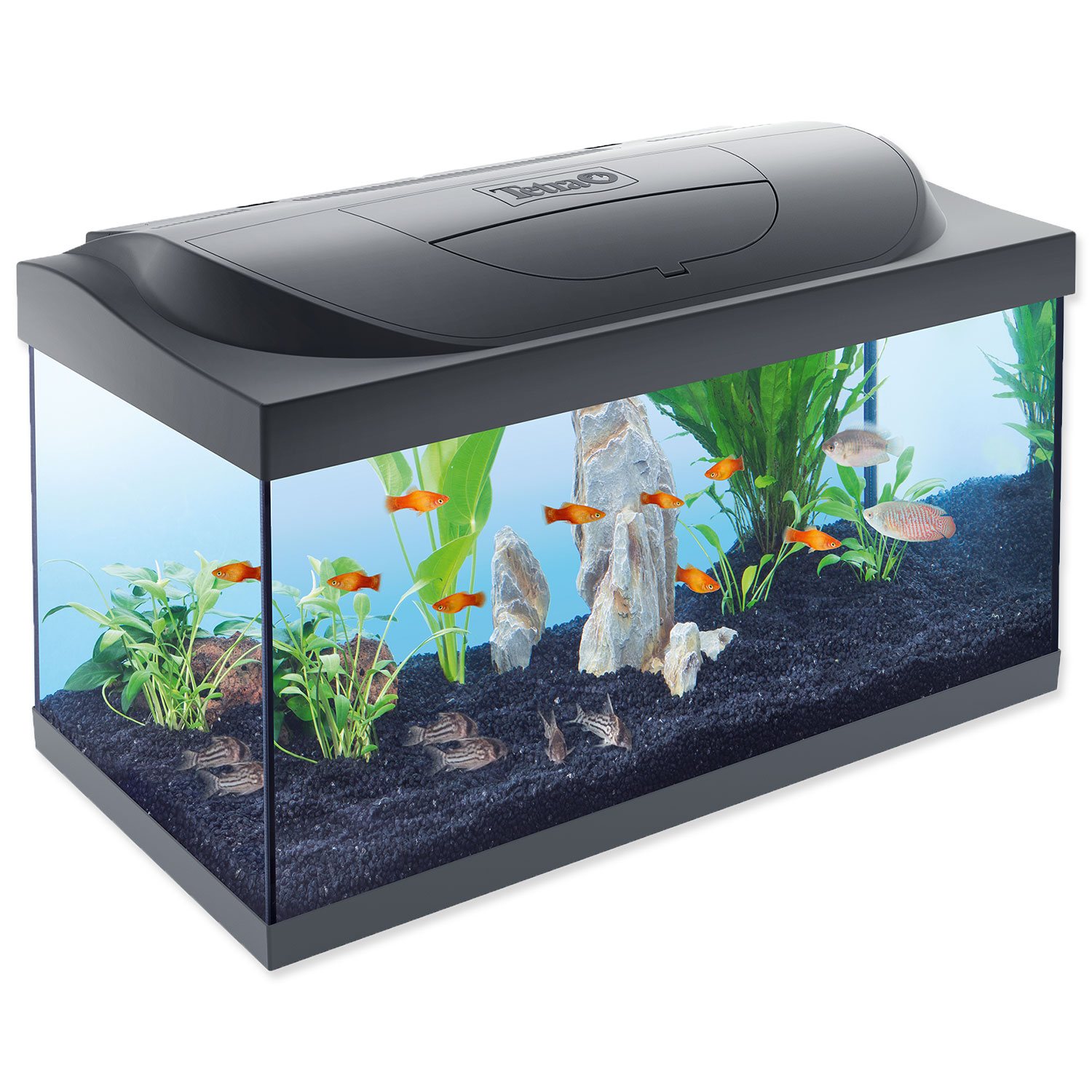 Akvarijní set Tetra Starter Line LED 60x30x30cm 54l-KS