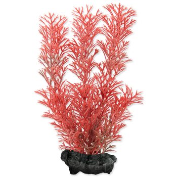 Dekorace Tetra Rostlina Foxtail Red S 15cm