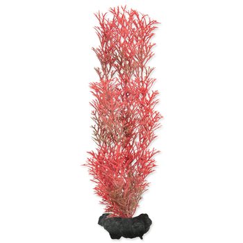 Dekorace Tetra Rostlina Foxtail Red M 23cm-KARTON