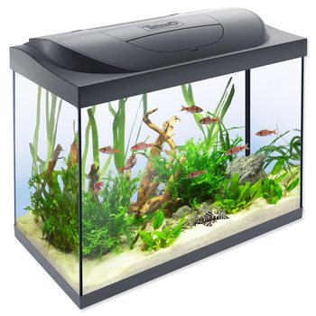 Akvarijní set Tetra Starter Line LED 61x32x51cm 80l-KS