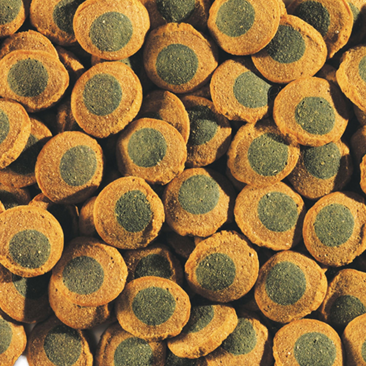 Krmivo Tetra Pleco Spirulina Wafers sáček 15g-KARTON