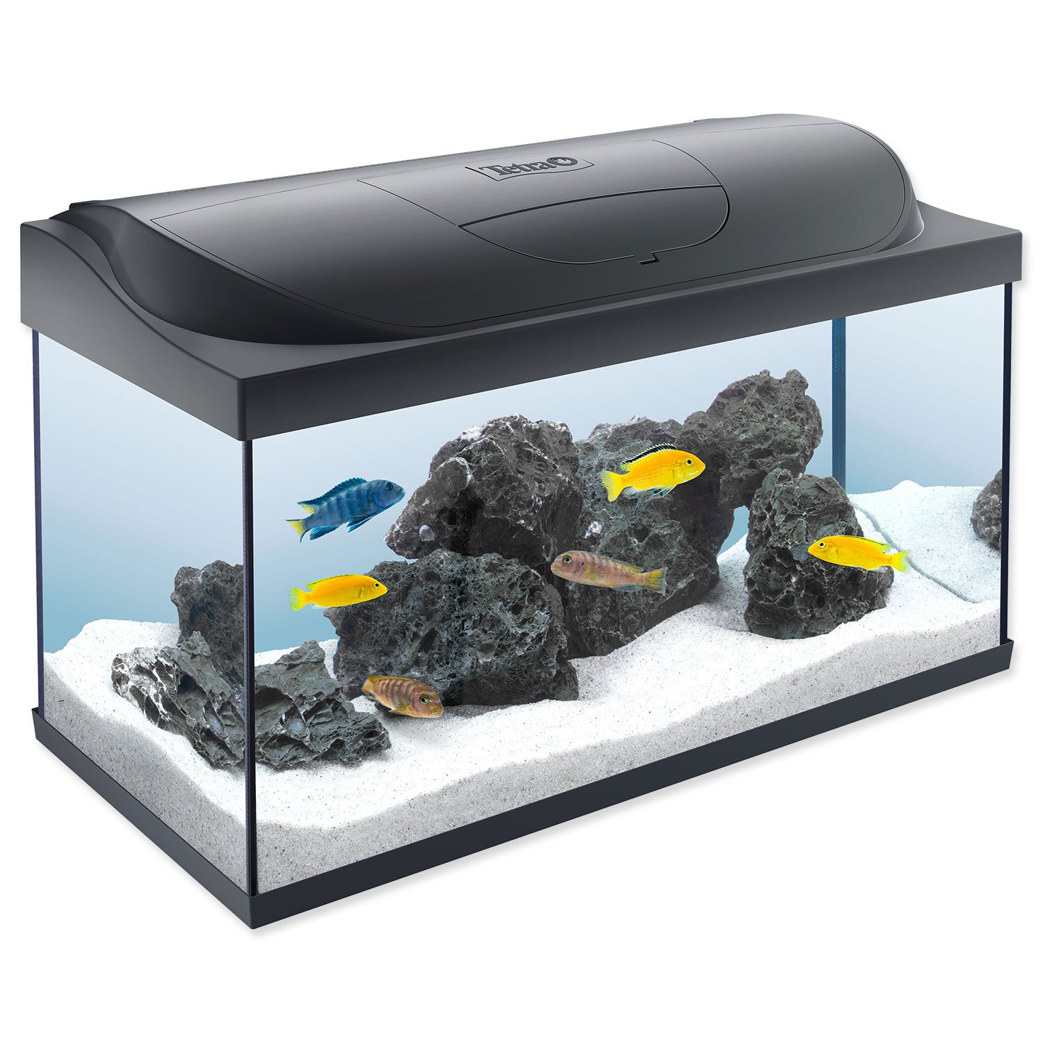 Akvarijní set Tetra Starter line LED 76x47x38cm 105l-KS
