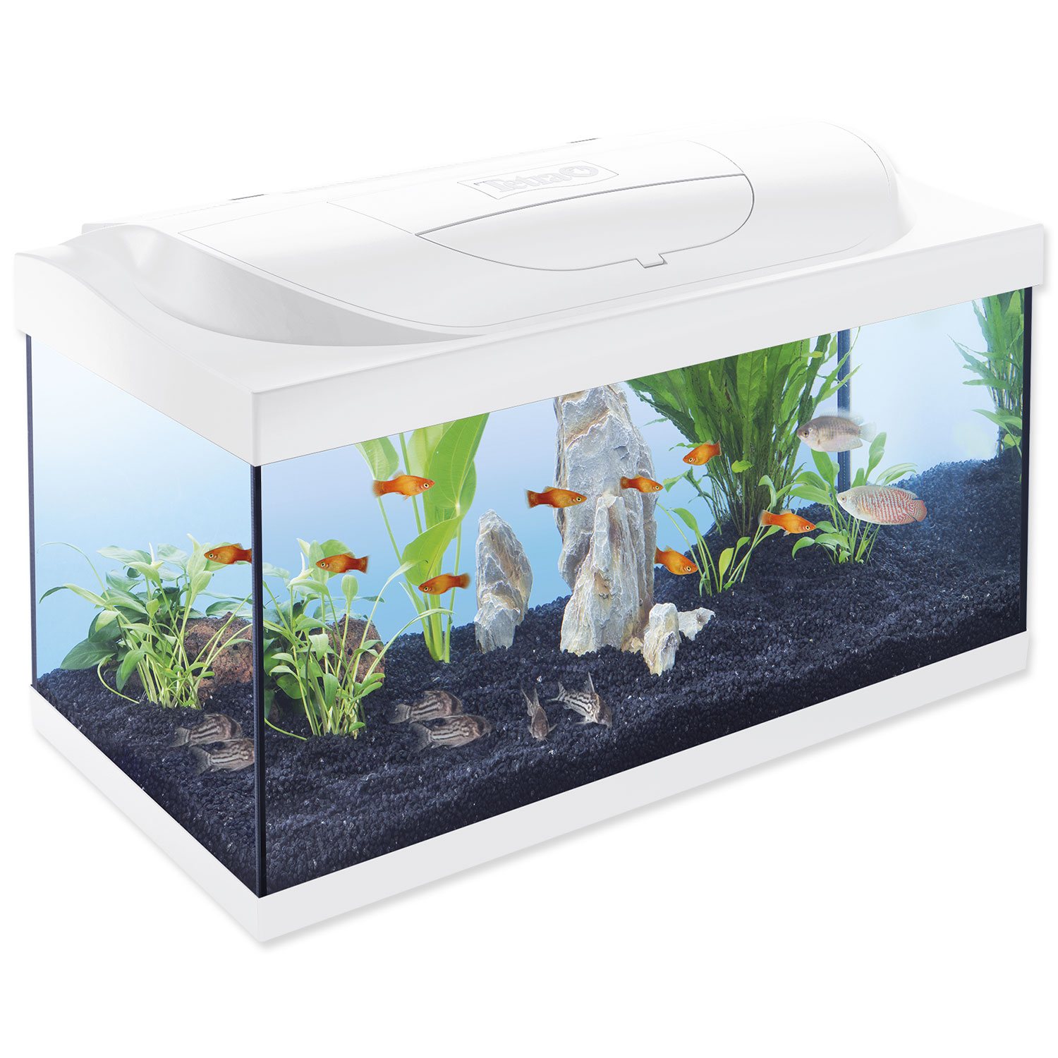 Akvarijní set Tetra Starter Line LED bílá 60x30x30cm 54l-KS
