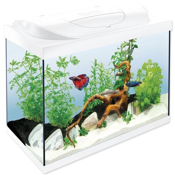 Akvarijní set Tetra Starter Line LED bílá 61x32x51cm 80l