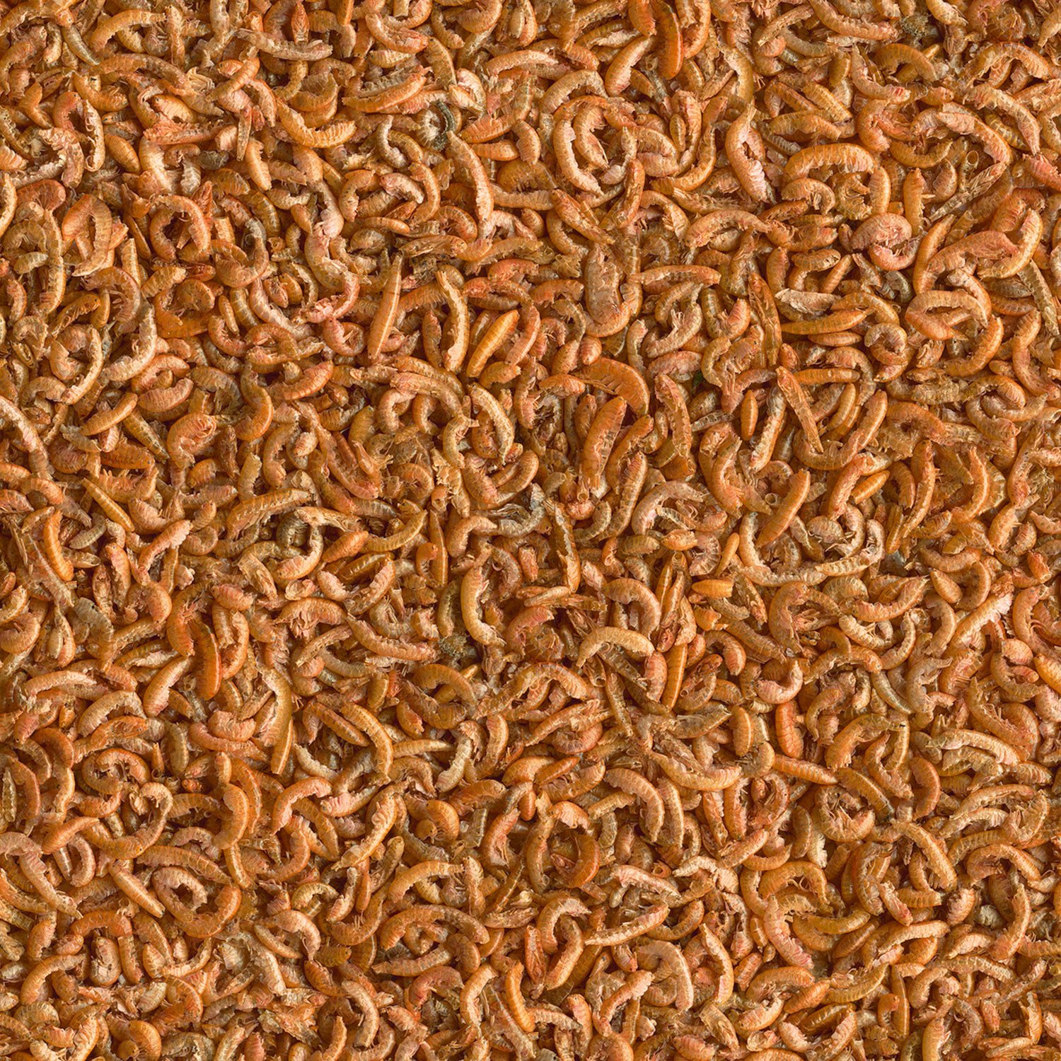 Krmivo Tetra Gammarus 100ml