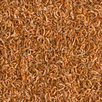 Krmivo Tetra Gammarus 100ml