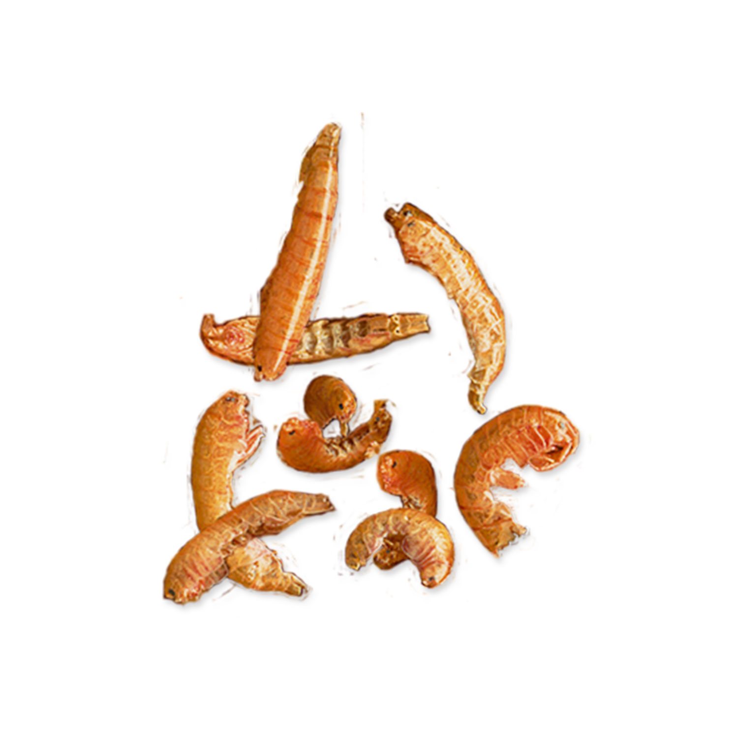 Krmivo Tetra Gammarus 500ml-KS