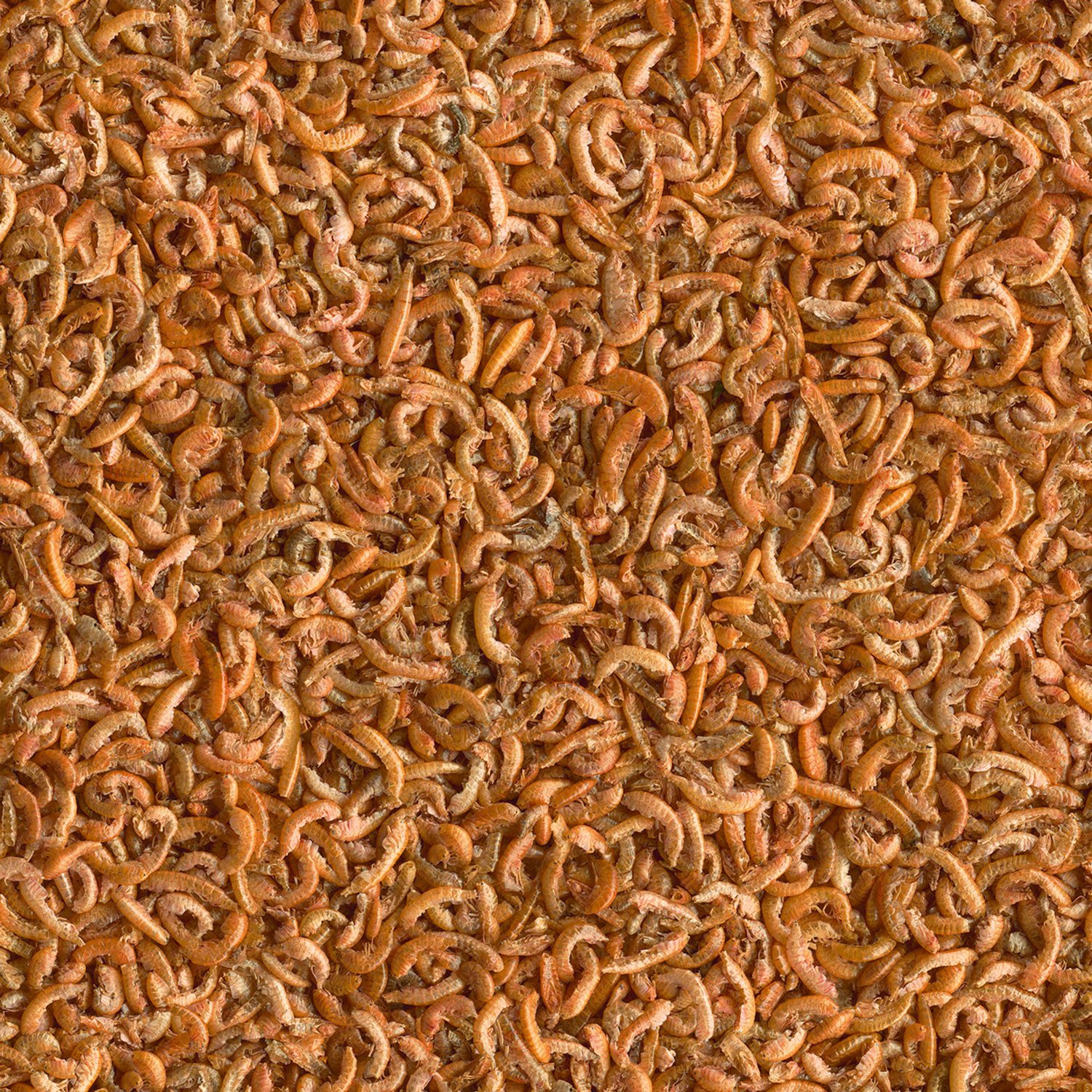 Krmivo Tetra Gammarus 1l-KARTON