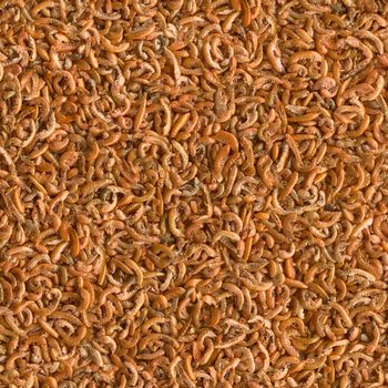 Krmivo Tetra Gammarus 250ml-KS