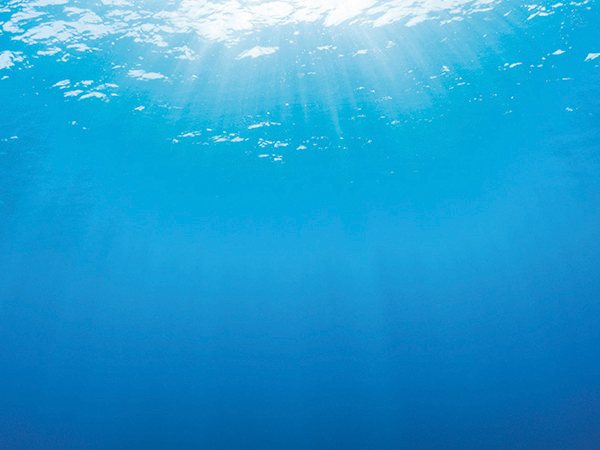 Pozadí Juwel tapeta oboustranná 2 L 100x50cm-KS