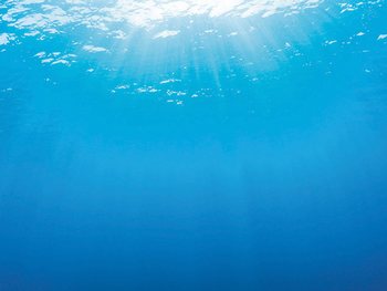 Pozadí Juwel tapeta oboustranná 2 L 100x50cm-KS