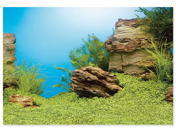 Pozadí Juwel tapeta oboustranná 1 XL 150x60cm-KS