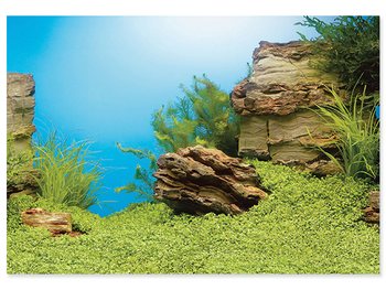 Pozadí Juwel tapeta oboustranná 1 XL 150x60cm-KS