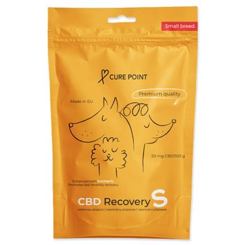 Pochoutka CBD Recovery S 100g-KS