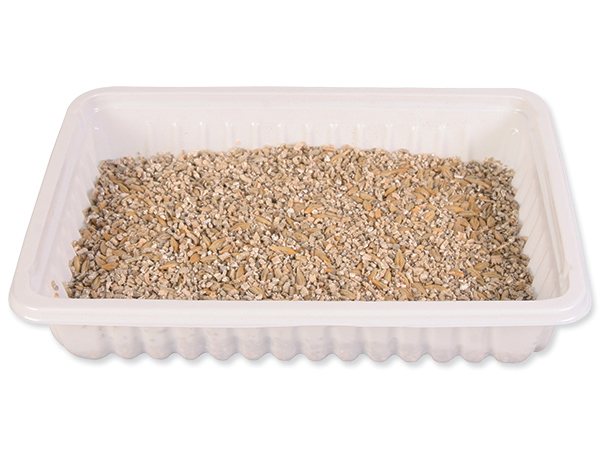 Tráva Trixie miska pro koťata 100g-KS