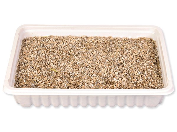 Tráva Trixie miska pro kočky 100g-KS