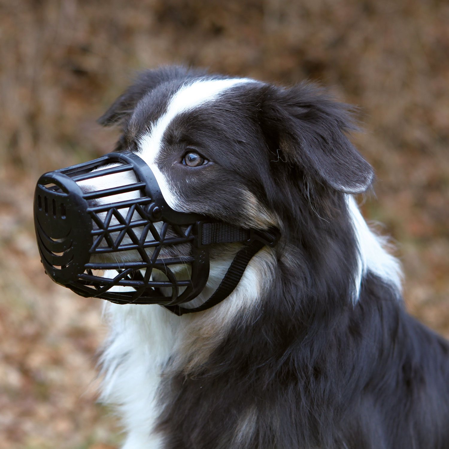 Náhubek Trixie plastový černý XS 15cm-KS