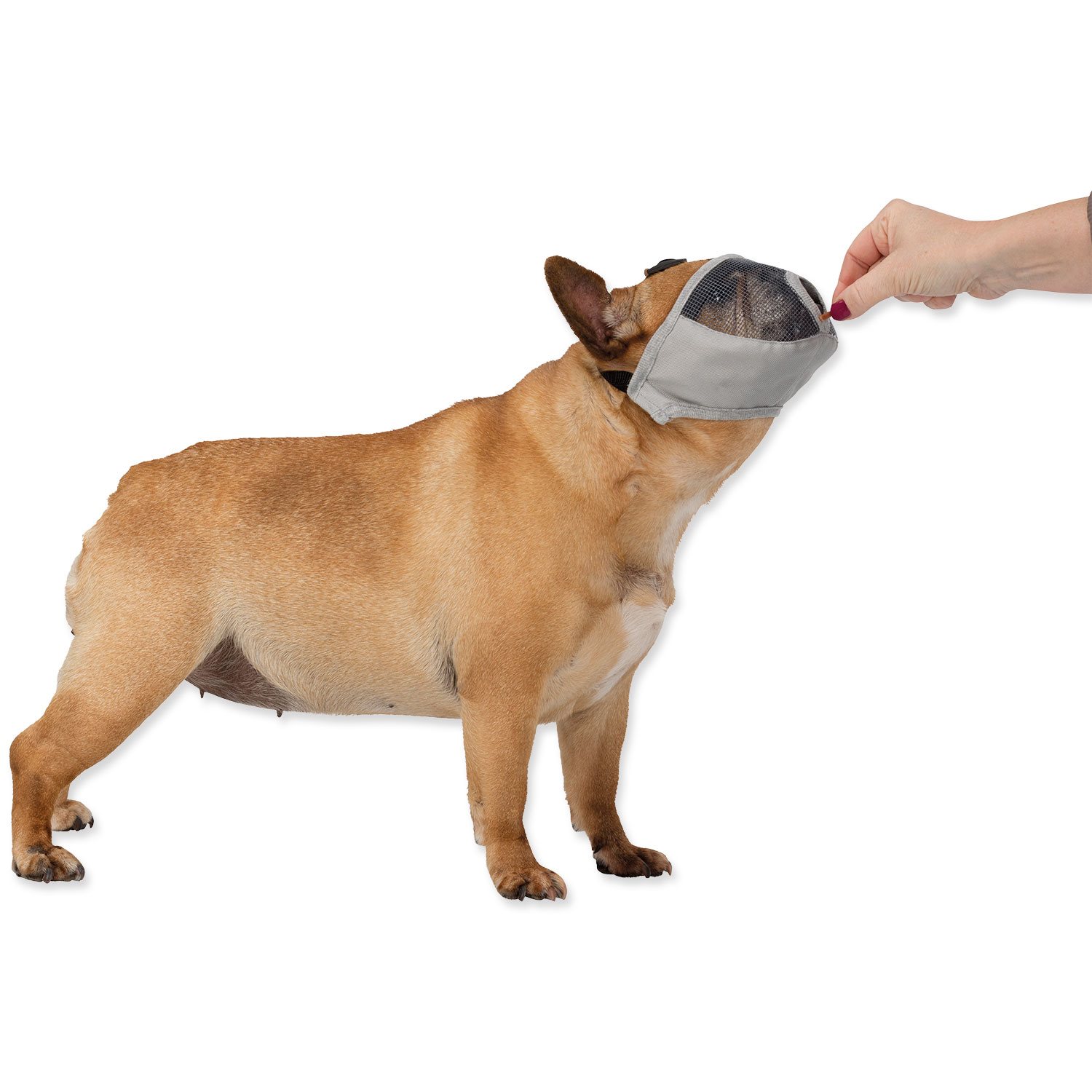 Náhubek Trixie short-nosed breeds polyester XS–S 15cm