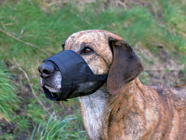 Náhubek Trixie se síťkou černý M 19-26cm-KS