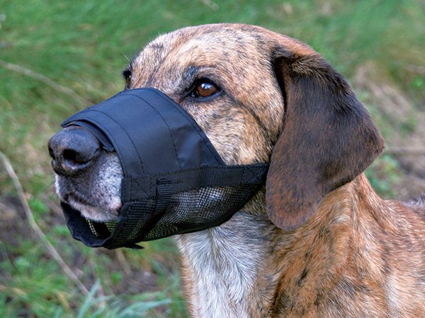 Náhubek Trixie se síťkou černý L-XL 24-34cm-KS