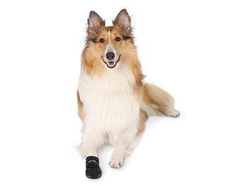 Boty Trixie Care ochranné černé M 2ks-KS