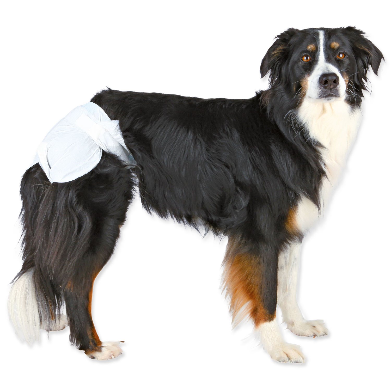 Pleny Trixie pro feny XL 12ks-KS