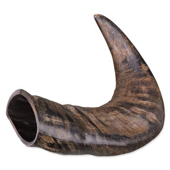 Pochoutka Trixie roh buvolí žvýkací M-KS