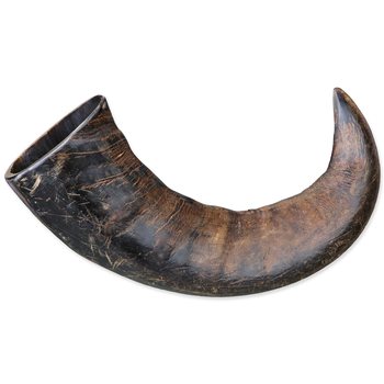 Pochoutka Trixie roh buvolí žvýkací L-KS