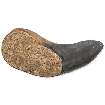 Pochoutka Trixie buvolí roh plněný rohovinou a šlachou, 10-14cm-KS