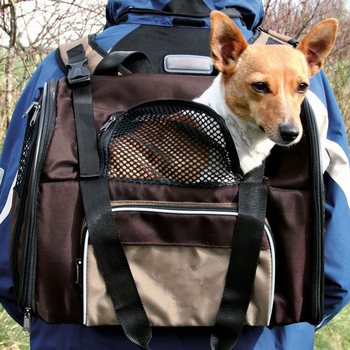 Taška Trixie přenosná tmavě hnědá a černá 41x30x21cm-KS