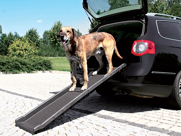 Rampa pro psy 40x156 cm černá-KS