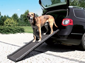 Rampa pro psy 40x156 cm černá-KS