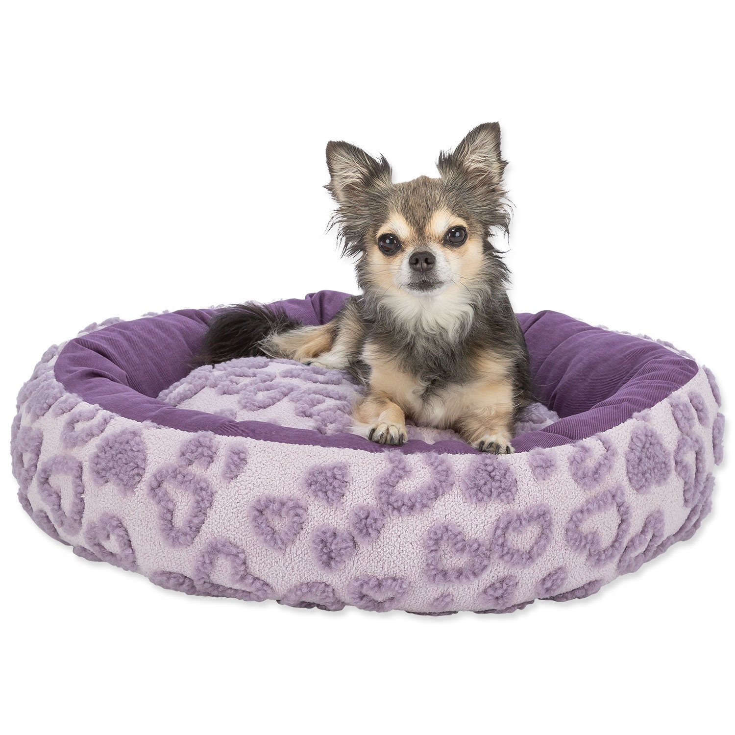 Pelech Trixie Valentine lila 50cm