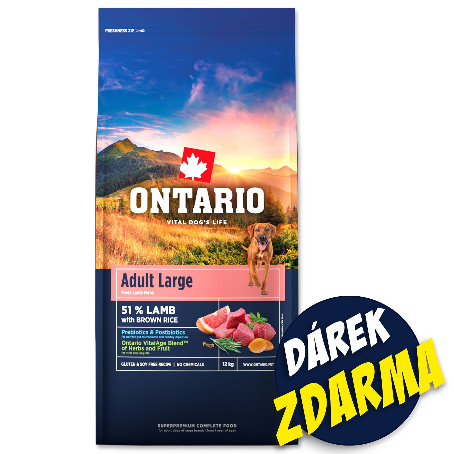 Krmivo Ontario Adult Large Lamb 12kg + 3 konzervy 400g ZDARMA